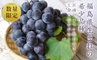 【先行予約】あずましずく 約500g×3房（約1.5kg）フルーツ ぶどう 葡萄 ブドウ F4D-0076