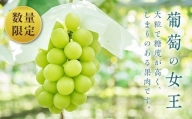 【先行予約】シャインマスカット 約600g×3房（約1.8kg）フルーツ ぶどう ブドウ 葡萄 F4D-0075