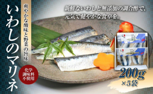 いわしのマリネ５袋　爽やかな酸味と野菜の旨味（化学調味料不使用） 585078 - 富山県南砺市