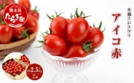 【産地直送】熊本県産 ミニトマト「アイコ (赤色)」約2.5kg 国産トマト アイコ とまと 甘い 熊本 多良木町 農園直送 新鮮 フルーツトマト フルーティ 020-0531