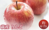 [№5226-0201]リンゴ 詰め合わせ 萩りんご 萩産 季節の品種 約6～7玉