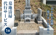 FT18-219玉川村の墓地清掃代行サービス（1回）