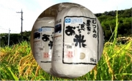 [№5226-0136]農家が食べてるお米「コシヒカリ」5kg×2