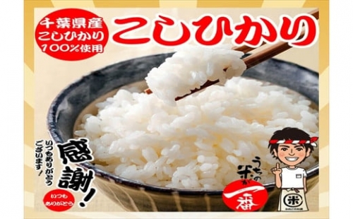 【3ヶ月定期便】八千代市産コシヒカリ・精米10kg(5kg×2袋)×3回 586324 - 千葉県八千代市