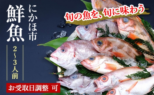 開けたらすぐ食べられる日本海の鮮魚詰合せ（2～3人前）(魚介 下処理済み 詰め合わせ セット) 58709 - 秋田県にかほ市