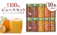 果汁 100％ ジュースセット 10本 ジュース にんじん みかん トマト 柿 りんご セット [AM001sa]