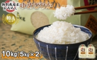 北海道羽幌産 特別栽培米ゆめぴりか10kg（5kg×2セット）【08008】