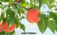 [№5226-0530]もも 約2kg 有田農園 桃 フルーツ 果物 デザート モモ ※配達不可:北海道、沖縄、離島