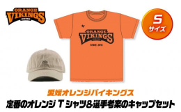 子ども〜大人まで身に付けられるスタンダードなデザインです。Tシャツはドライ生地なので首元が伸びるような心配もありません。キャップは選手達が考案した商品です。正面に「VIKES」とワンポイントのデザイン