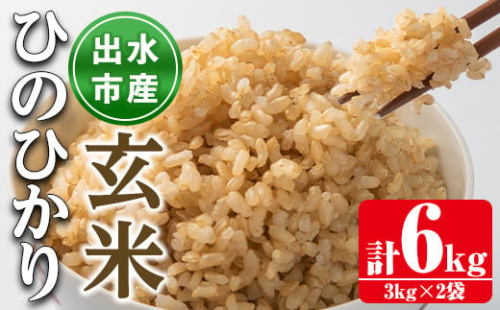 i504 鹿児島県出水市産ひのひかり玄米＜3kg×2袋・計6kg＞米 玄米 お米 6kg 国産 ひのひかり おにぎり ごはん 自家脱穀 お米マイスター 厳選 【田上商店】