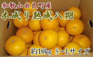 【産直】和歌山由良町産の木成り熟成八朔約10kg（S～Lサイズをお届け）★2025年3月中旬頃より順次発送【TM135】