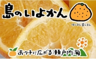 【1月下旬から発送予定】 伊予柑 4kg 愛媛 中島産 いよかん みかん 柑橘 先行予約