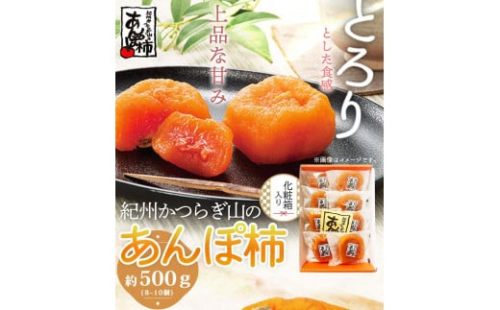紀州かつらぎ山のあんぽ柿　化粧箱入　約５００ｇ［2027年1月中旬以降発送予定］［UT07］ 589050 - 和歌山県高野町