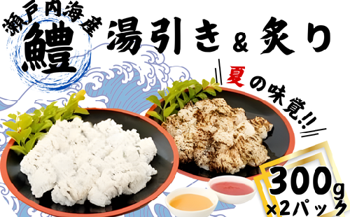 【着日指定必須】【魚千代】はも湯引き・炙りセット【はも 鱧 湯引き 炙り 瀬戸内海産 梅肉 酢味噌 魚千代 夏の味覚 高級 和食 刺身 だし付き 天然魚 産直 鮮魚 ハモ料理 グルメギフト 取り寄せ 旬の魚 伝統食】 589418 - 山口県宇部市