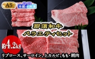 【冷蔵】那須和牛バラエティセットA5（約4.2kg）牛肉 国産 冷蔵 冷凍 セット 那須町〔I-2〕