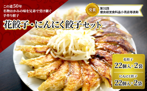 花餃子（22個入×2袋）とにんにく餃子（22個入×2袋）セット 加工食品 ぎょうざ  58985 - 静岡県森町