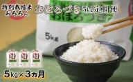 【定期便：3回】令和4年産　北海道羽幌産特別栽培米おぼろづき5kg【08011】