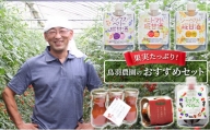 果実たっぷり！鳥羽農園のおすすめセット 北海道 南富良野町 ミックスベリー ベリー シーベリー ミニトマト トマト 甘酒 セット 詰合せ ジュース 野菜 野菜ジュース 飲料 飲み物