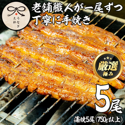【52878】鹿児島県産東串良町のうなぎ蒲焼(5尾・計750g以上・秘伝のタレ付き)【うなぎ太郎】 59119 - 鹿児島県東串良町