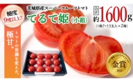 [2024年2月上旬発送開始] スーパーフルーツトマト てるて姫 小箱 約800g ( 7〜13玉 ) × 2箱 糖度9度以上 ブランドトマト フルーツトマト トマト とまと [BC036sa]