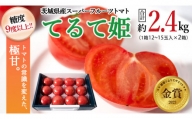 [2024年2月上旬発送開始]スーパーフルーツトマト てるて姫 中箱 約1.2kg×2箱 [12〜15玉/1箱] 糖度9度以上 ブランドトマト フルーツトマト トマト とまと [BC034sa]