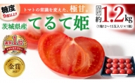 [2024年2月上旬発送開始]スーパーフルーツトマト てるて姫 中箱 約1.2kg × 1箱 [12〜15玉/1箱] 糖度9度以上 ブランドトマト フルーツトマト トマト とまと [BC033sa]