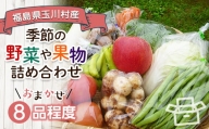 FT18-230季節の産直売場の野菜と果物詰め合わせ（小）