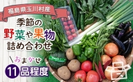 FT18-231季節の産直売場の野菜と果物詰め合わせ（大）