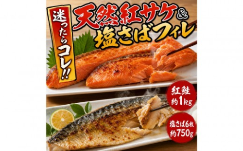 迷ったらコレ！！魚鶴商店の天然紅サケ１ｋｇ & 塩さばフィレ６枚セット 591978 - 和歌山県印南町