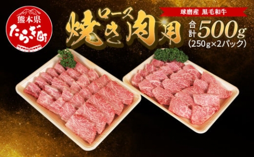 球磨産 黒毛和牛 ロース焼き肉用 500g（250g×2パック）スライス