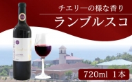 日本ワイン 赤ワイン 国産 香川県産 ランブルスコ  赤 720ml １本 ワイン 香川 さぬき