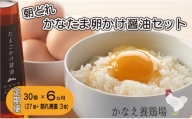 定期便 全6回 卵 鶏卵 たまご 定期便 新鮮 30個 たまごかけ醤油セット 朝どれたまご
