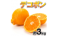 果物 フルーツ デコポン 柑橘 化粧箱 ギフト 貯蔵デコポン 約3kg