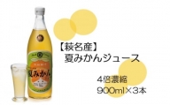[№5226-0606]【萩名産】夏蜜柑ジュース（4～5倍濃縮・3本セット）