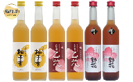 C24-016 鳥取県の美味しい酒　梅酒・ゆず酒　6本セット