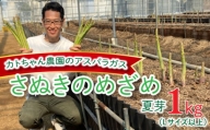 カトちゃん農園のアスパラガス(さぬきのめざめ)　夏芽　1kg
