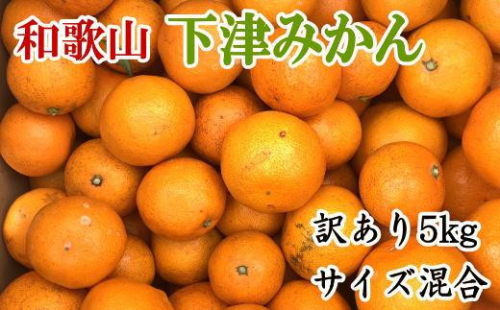 ［訳あり］和歌山下津みかん約5kgご家庭用向け(サイズ混合) ★2026年11月中旬頃より順次発送［TM77］ 594617 - 和歌山県高野町