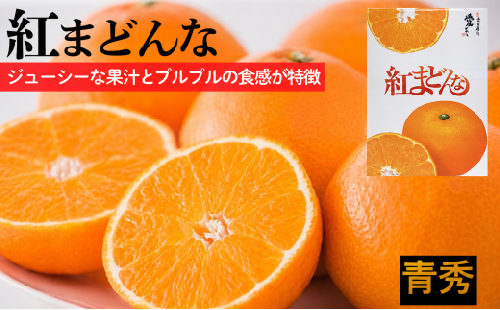 【2026年11月中旬頃から順次発送】紅まどんな【JAえひめ中央】 青秀　L～2Lサイズ  みかん ミカン 蜜柑 果物 くだもの フルーツ 高級 贈答 ギフト 贈り物 柑橘 柑橘類 かんきつ 愛媛果試第28号 愛果28号 常温 国産 愛媛 愛媛県 松山市
