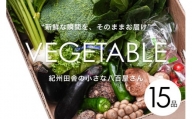 旬の新鮮野菜詰め合わせたっぷり15種以上【野菜セット】