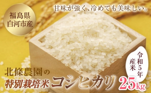 令和5年産米 北條農園の特別栽培米（コシヒカリ）25kg F21R-103