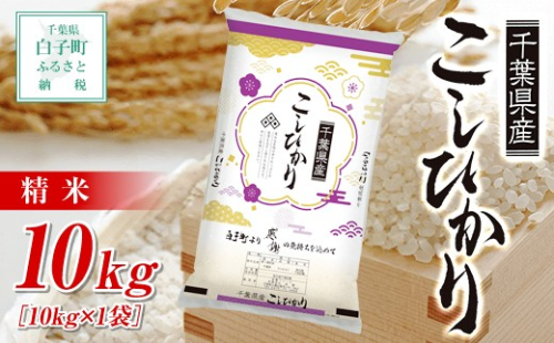 令和８年産  千葉県産コシヒカリ＜精米＞10kg(10kg×1袋) ふるさと納税 お米 10kg 千葉県産 白子町 コシヒカリ 米 精米 こめ 送料無料 SHB002
