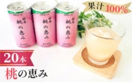 No.148 「福島桃の恵み」20本　果汁100％ジュース ／ モモジュース ストレート もも 福島県 特産品