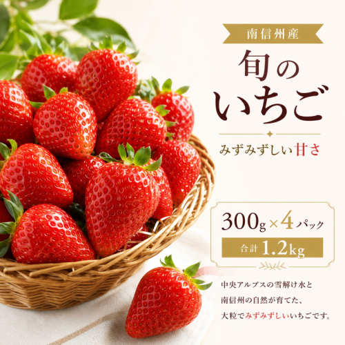 南信州産「いちご」 (300g×4パック)　【ヨッシャア駒ヶ根】 果物類 苺 イチゴ 59679 - 長野県駒ヶ根市
