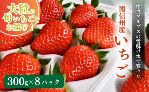南信州産「いちご」 (300g×8パック)　【ヨッシャア駒ヶ根】 果物類 苺 イチゴ 59680 - 長野県駒ヶ根市