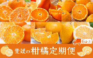 [定期便6回]えひめかんきつ定期便 みかん 紅まどんな 伊予柑 デコポン せとか 河内晩柑 | みかん 日の丸ゴールド まどんな 紅まどんな 愛果28号 国産 フルーツ みかん オレンジ 柑橘 果物 定期便 愛媛県 松山市