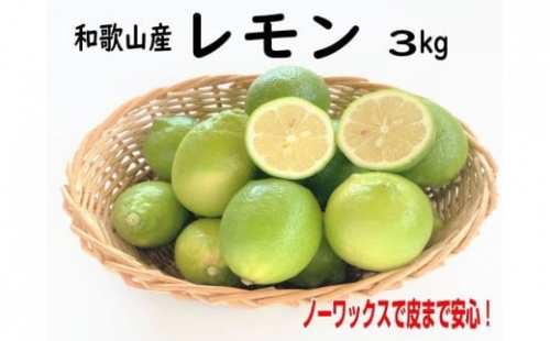 和歌山産レモン/グリーンレモン 3kg 【国産レモン】