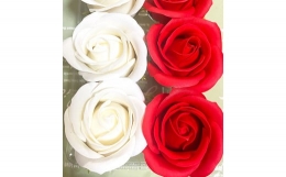 【ふるさと納税】赤×白：Flower balloon ( フラワー バルーン ) ソープ フラワー 5本 置き型タイプ 韓国 お花 贈り物