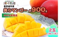 【先行受付】【2024年発送】美らマンゴー約900g（2玉）