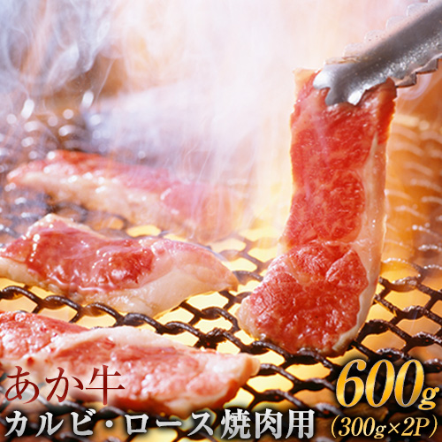 熊本の和牛 あか牛 カルビ・ロース(焼肉用) 300g×2 600g 熊本県産 肉 和牛 牛肉 赤牛 あかうし《2月下旬-3月下旬頃より順次出荷》 59777 - 熊本県長洲町