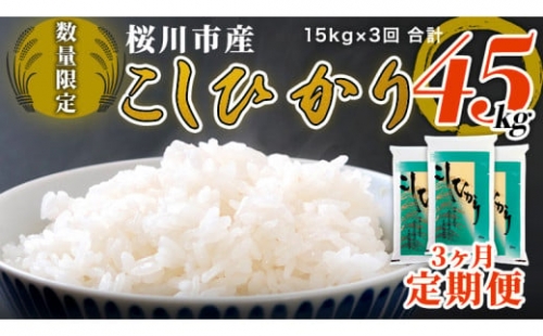 【3ヶ月定期便】 令和4年 数量限定 桜川市産 こしひかり 合計45kg 15kg（5kg×3袋)× 3回 茨城県産 桜川 米 お米 白米 コメ ごはん 精米 コシヒカリ 国産 限定  [AX007sa] 597801 - 茨城県桜川市